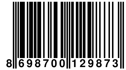 8 698700 129873