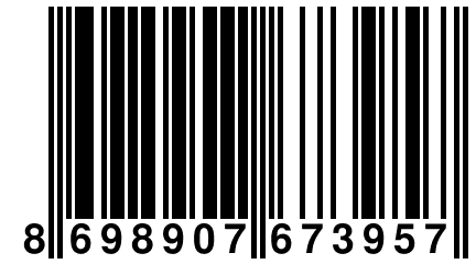 8 698907 673957