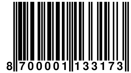 8 700001 133173