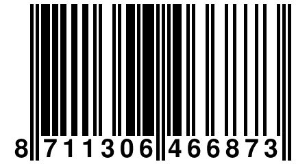 8 711306 466873