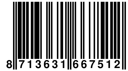 8 713631 667512