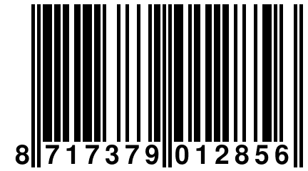 8 717379 012856
