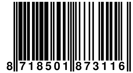 8 718501 873116