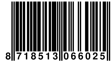 8 718513 066025