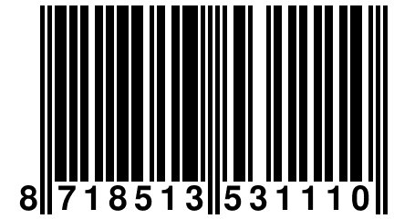 8 718513 531110