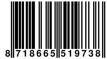 8 718665 519738