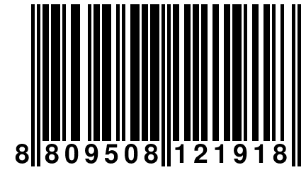 8 809508 121918