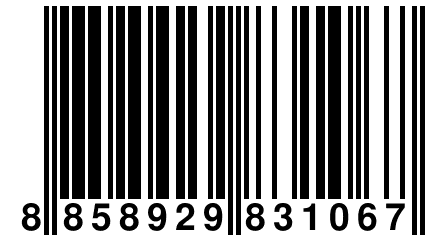 8 858929 831067