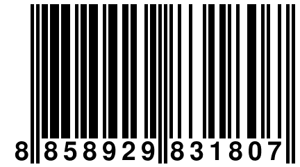 8 858929 831807