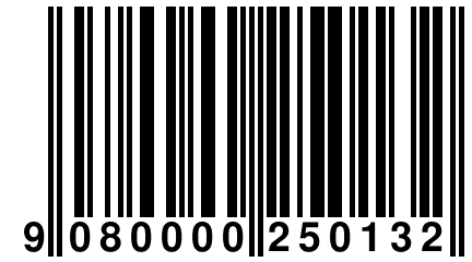 9 080000 250132