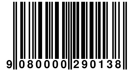 9 080000 290138