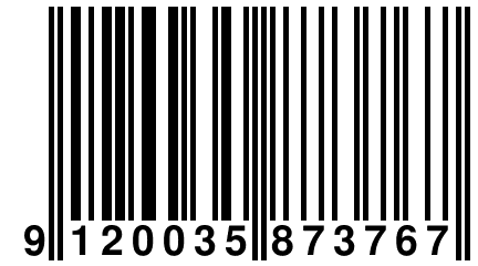 9 120035 873767