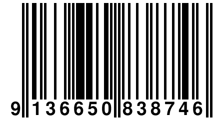 9 136650 838746