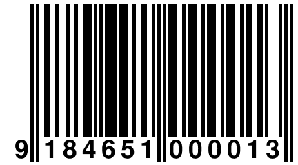 9 184651 000013