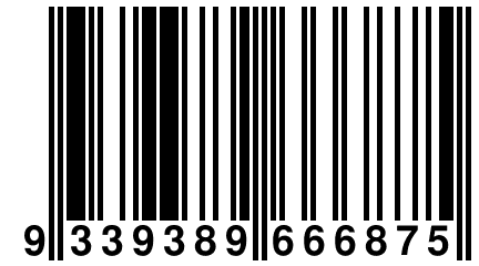 9 339389 666875