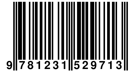 9 781231 529713