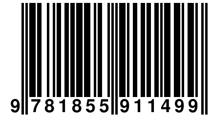 9 781855 911499