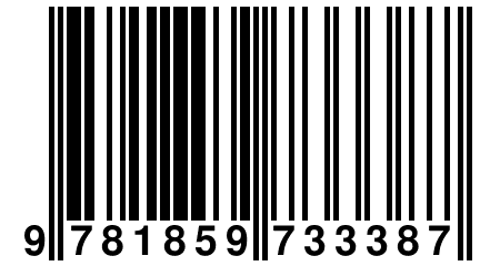 9 781859 733387