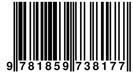 9 781859 738177