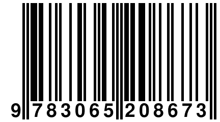 9 783065 208673