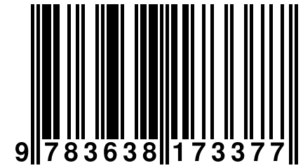 9 783638 173377