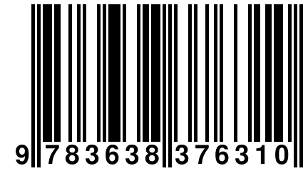 9 783638 376310