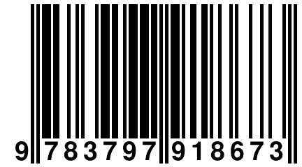 9 783797 918673