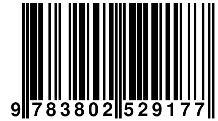 9 783802 529177