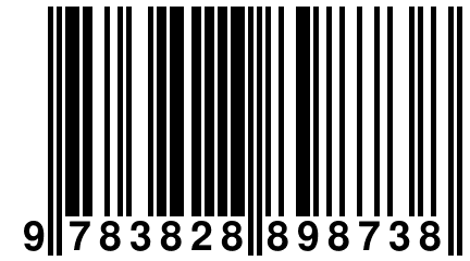 9 783828 898738