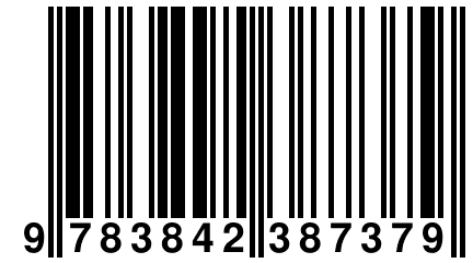 9 783842 387379