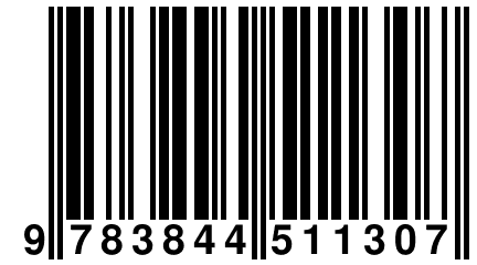 9 783844 511307