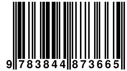 9 783844 873665