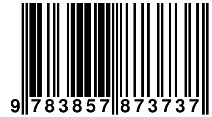 9 783857 873737