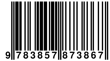 9 783857 873867