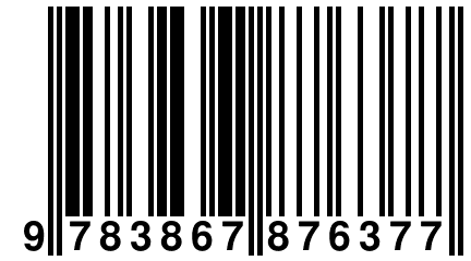 9 783867 876377