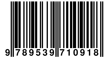 9 789539 710918